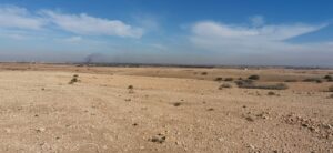 WhatsApp Image 2025-12-06 at 22.22.56 (1)