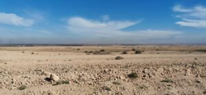 WhatsApp Image 2025-12-06 at 22.22.56 (2)