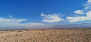 WhatsApp Image 2025-12-06 at 22.22.56 (3)