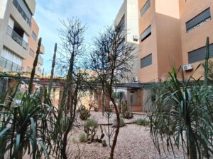 WhatsApp Image 2025-12-13 at 13.23.19 (1)