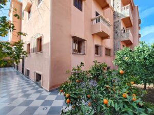 WhatsApp Image 2025-12-24 at 16.56.54