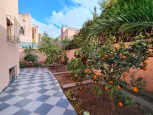 WhatsApp Image 2025-12-24 at 16.56.55