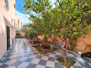 WhatsApp Image 2025-12-24 at 16.56.57