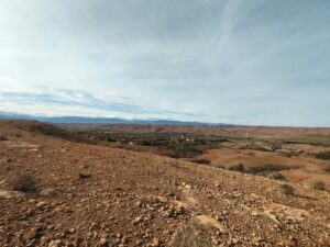 WhatsApp Image 2026-02-04 at 18.29.11 (1)