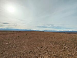 WhatsApp Image 2026-02-04 at 18.29.11 (2)