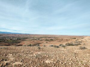 WhatsApp Image 2026-02-04 at 18.29.11