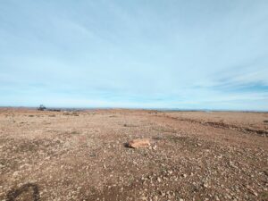 WhatsApp Image 2026-02-04 at 18.29.12 (1)