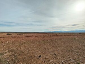 WhatsApp Image 2026-02-04 at 18.29.12 (2)