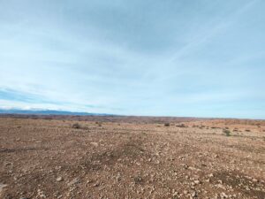 WhatsApp Image 2026-02-04 at 18.29.12 (4)