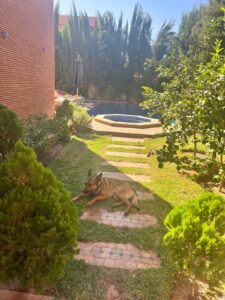 WhatsApp Image 2025-12-27 at 15.01.34 (2)