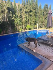 WhatsApp Image 2025-12-27 at 15.01.35 (4)