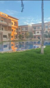 WhatsApp Image 2026-01-20 at 16.18.22