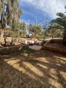 WhatsApp Image 2026-01-30 at 18.25.24 (1)