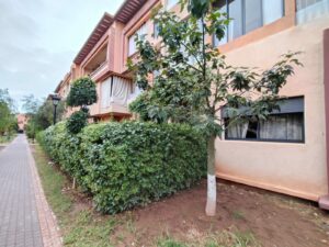 WhatsApp Image 2025-12-31 at 23.58.05 (1)