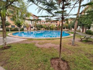 WhatsApp Image 2025-12-31 at 23.58.49 (1)