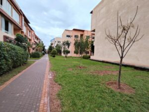 WhatsApp Image 2025-12-31 at 23.58.49