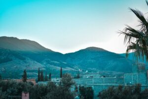 WhatsApp Image 2026-01-31 at 14.21.53 (1)