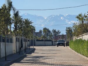 WhatsApp Image 2026-02-07 at 09.12.55