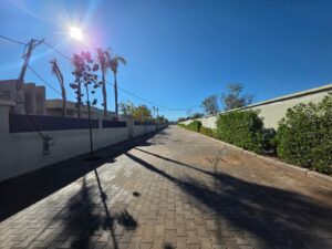 WhatsApp Image 2026-02-07 at 09.12.57