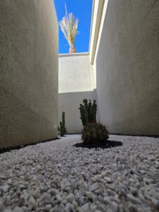 WhatsApp Image 2026-02-07 at 09.12.59