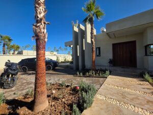 WhatsApp Image 2026-02-07 at 09.13.01 (1)