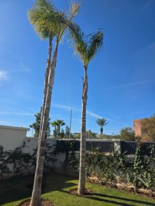 WhatsApp Image 2026-02-07 at 09.13.01