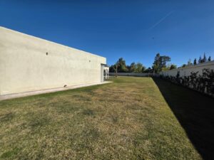 WhatsApp Image 2026-02-07 at 09.13.07 (4)