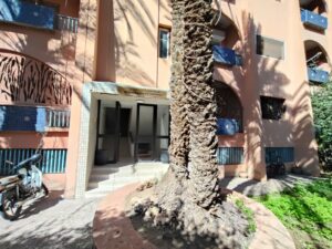 WhatsApp Image 2026-02-11 at 15.13.01