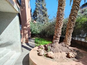 WhatsApp Image 2026-02-11 at 15.13.05