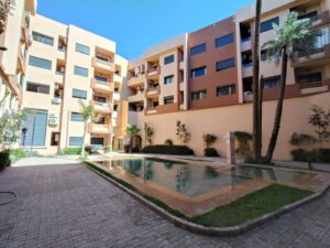 WhatsApp Image 2026-02-11 at 22.55.36