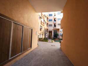 WhatsApp Image 2026-02-11 at 22.55.37