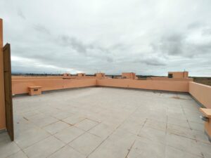 WhatsApp Image 2026-02-13 at 11.36.42