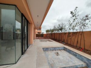 WhatsApp Image 2026-02-13 at 11.36.46