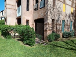 WhatsApp Image 2026-02-14 at 07.56.29 (3)