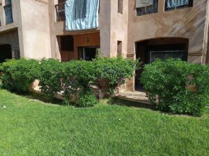 WhatsApp Image 2026-02-14 at 07.56.30