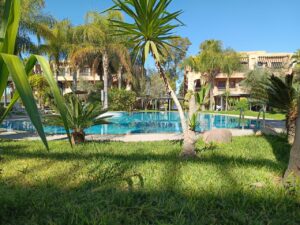 WhatsApp Image 2026-02-14 at 07.56.31 (1)