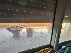 WhatsApp Image 2026-02-15 at 22.59.01 (1)