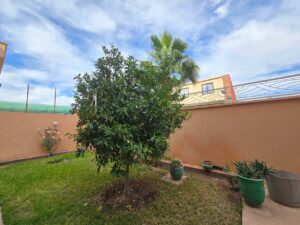 WhatsApp Image 2026-02-16 at 22.24.48