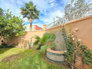 WhatsApp Image 2026-02-16 at 22.24.56