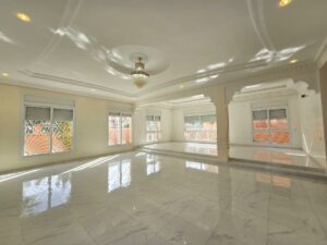 WhatsApp Image 2026-02-16 at 22.25.06 (1)