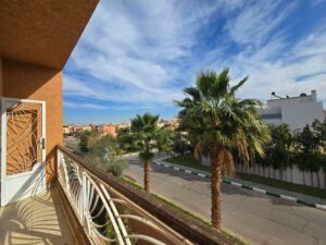 WhatsApp Image 2026-02-16 at 22.25.11