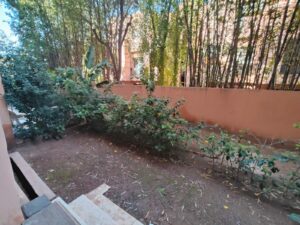 WhatsApp Image 2026-02-25 at 18.00.04