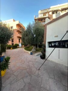 WhatsApp Image 2026-02-28 at 02.18.57