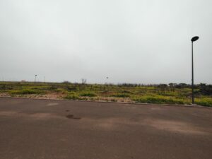 WhatsApp Image 2026-03-01 at 10.51.44 (1)