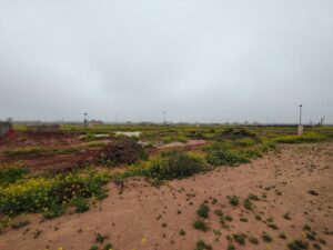 WhatsApp Image 2026-03-01 at 10.51.45 (1)