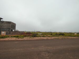 WhatsApp Image 2026-03-01 at 10.51.45