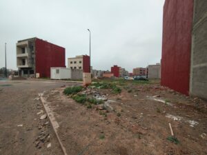 WhatsApp Image 2026-03-01 at 11.09.41 (1)