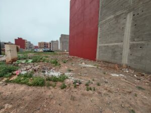 WhatsApp Image 2026-03-01 at 11.09.42