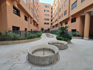 WhatsApp Image 2026-03-02 at 10.49.30 (3)