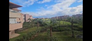 WhatsApp Image 2026-03-05 at 08.49.57